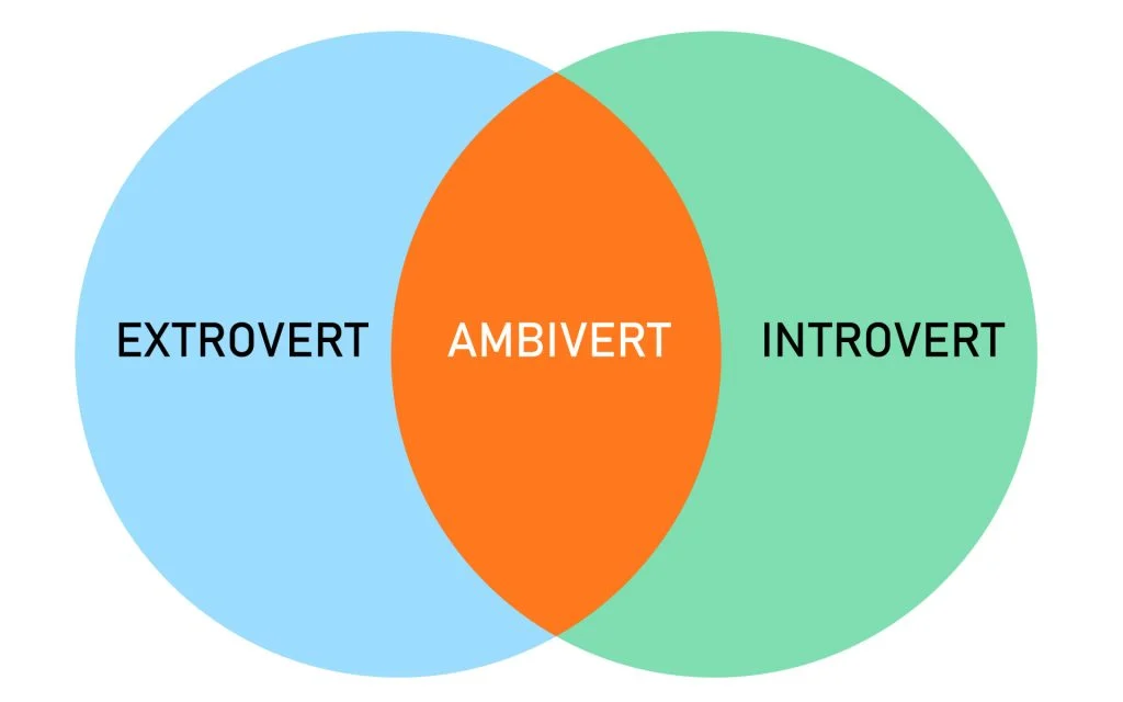 Інтроверт vs Екстраверт — ознаки, теорії та відмінності